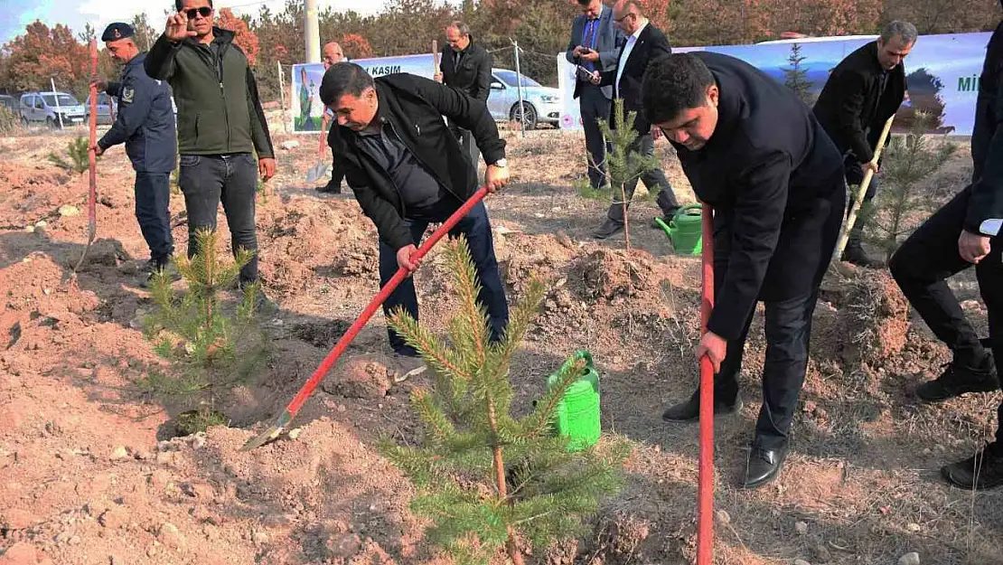 Emet'te 300 fidan toprakla buluştu