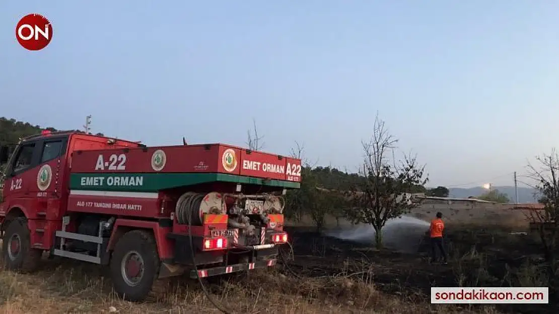 Emet'te çıkan yangında meyve ağaçları zarar gördü