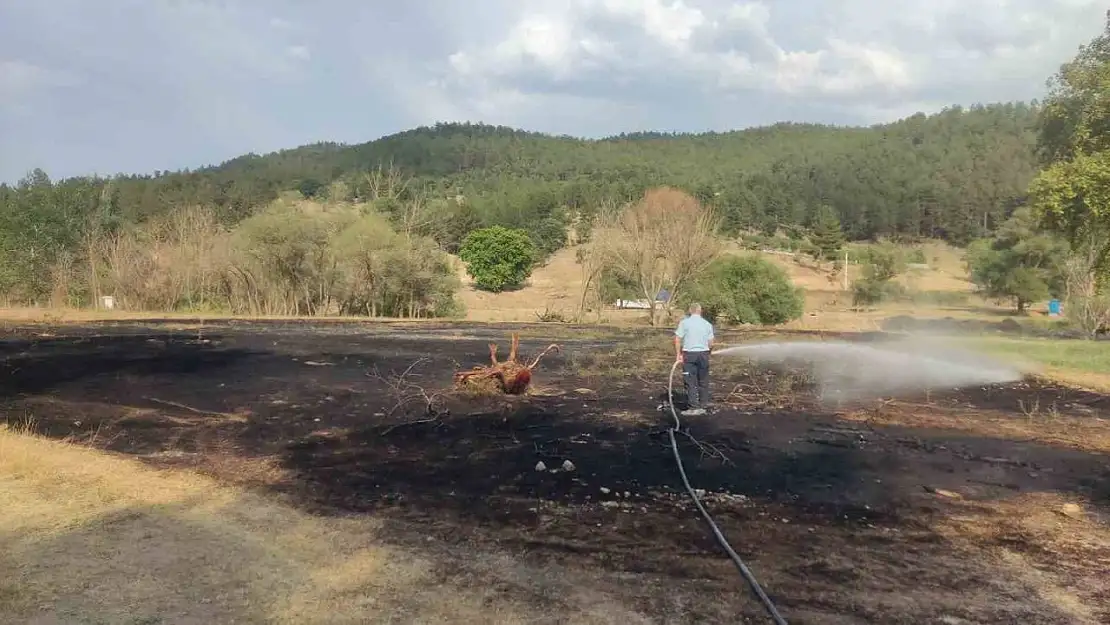 Emet'te mangal ateşinden çıkan yangından 2 dönüm ekili alan zarar gördü