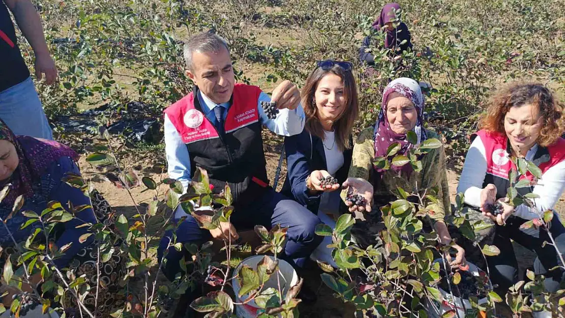 Erdek Kaymakamı Atasoy'dan Dünya Kadın Çiftçiler Günü Ziyareti