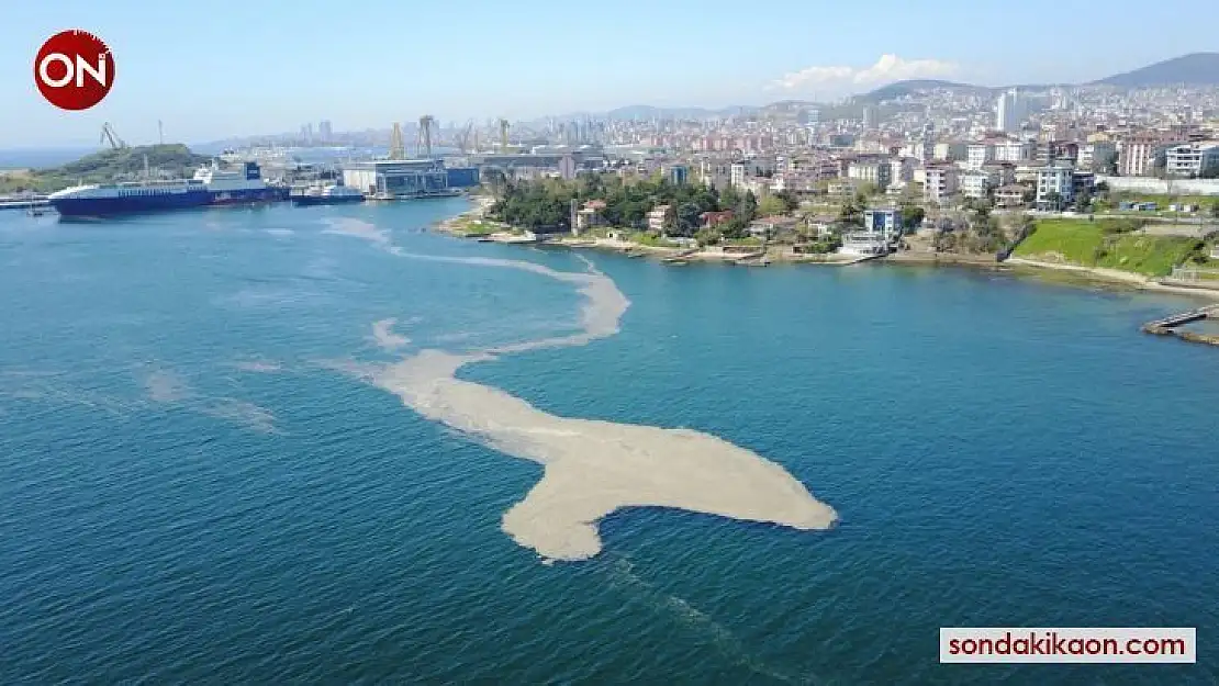 Eski Milletvekili Demirel'den Bakan Kurum'a müsilaj mesajı