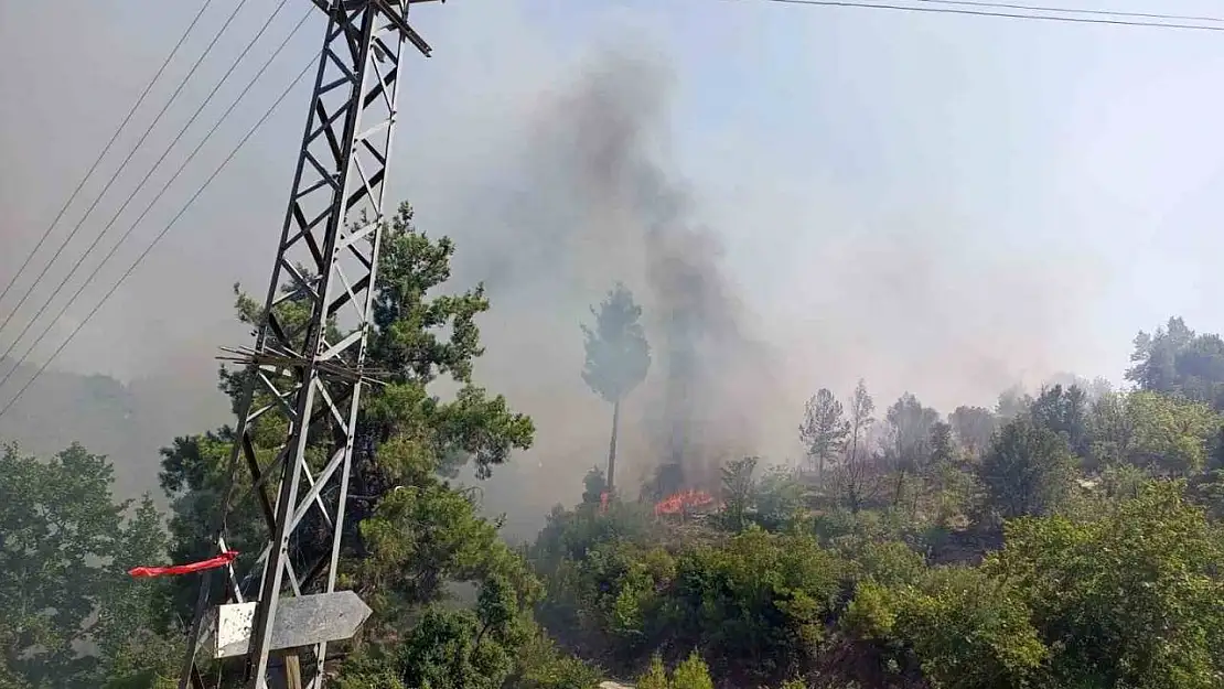 Evde çıkan yangın ormana sıçradı