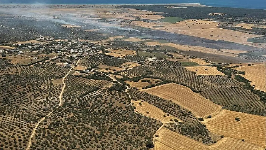 Ezine'de tarım arazisinde başlayan yangın ormanlık alana sıçramadan kontrol altına alındı