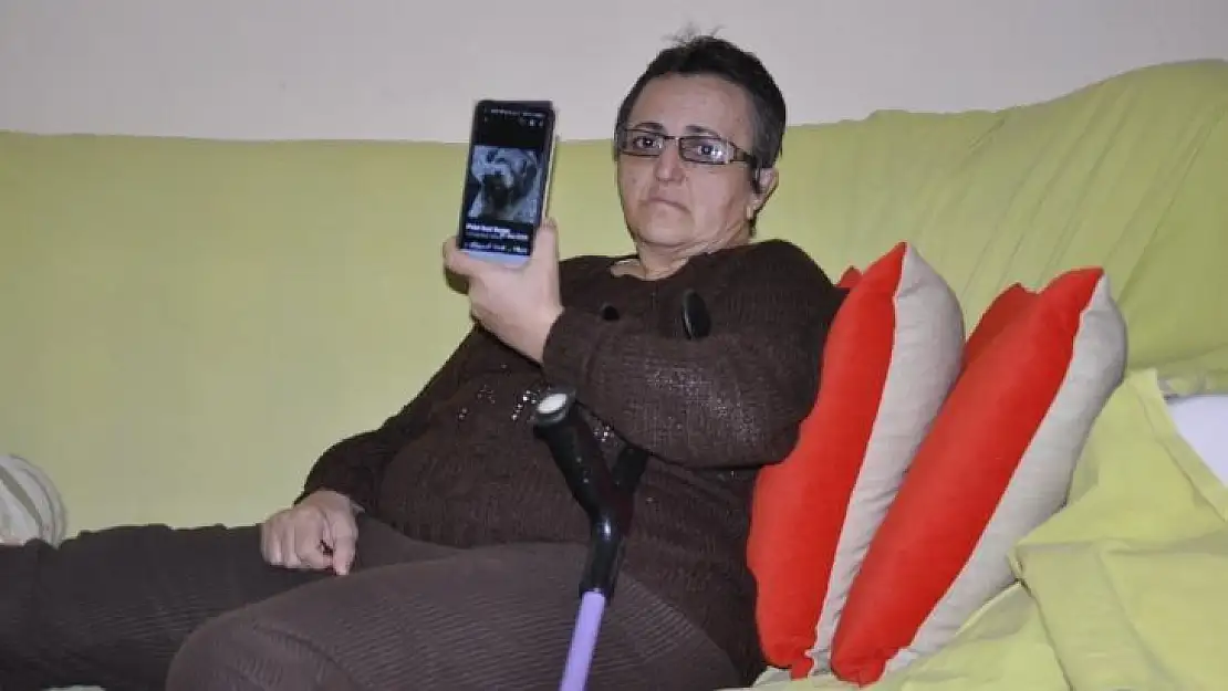 Felçli kadın, 6 aydır özel eğitimli köpeğini arıyor