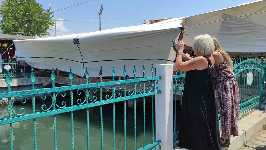 Fethiye'de Caretta Carettalar ilgi odağı haline geldi