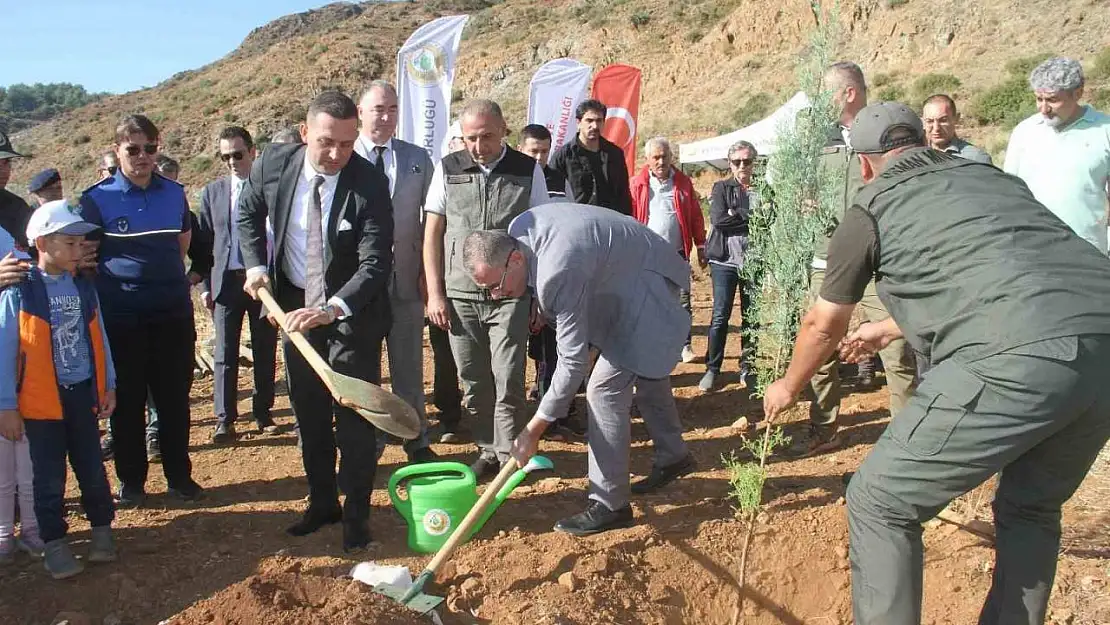 Fethiye'de geleceğe nefes için 5 bin fidan toprakla buluştu