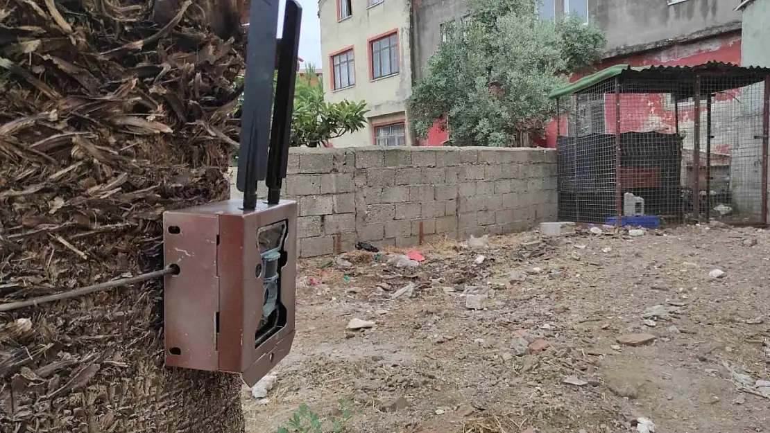 Fethiye'de piton yılanının bulunması için fotokapan kuruldu