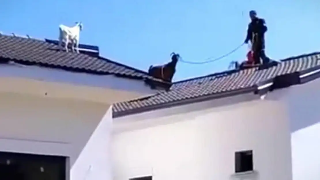 Fethiye'de sıra dışı kurtarma operasyonu