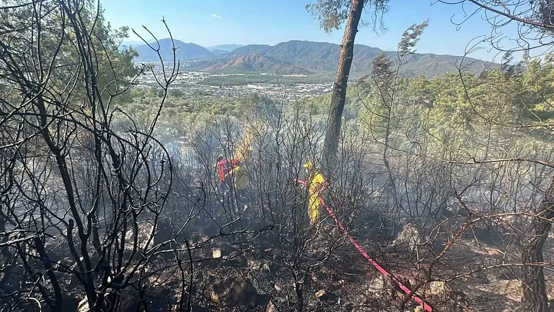 Fethiye'de zeytinlik alanda çıkan yangın kontrol altına alındı