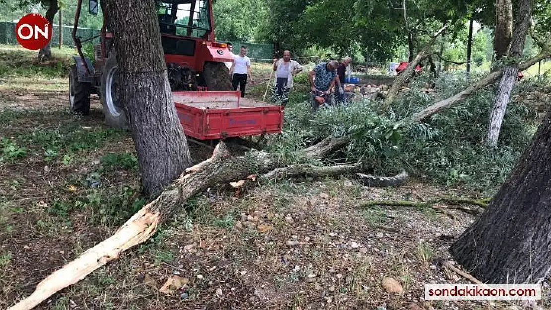 Fırtına ağaçları devirdi, enerji nakil hatları kopunca yangın çıktı