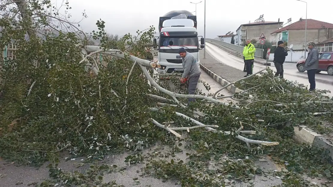 Fırtına Alaşehir'de hayatı olumsuz etkiledi