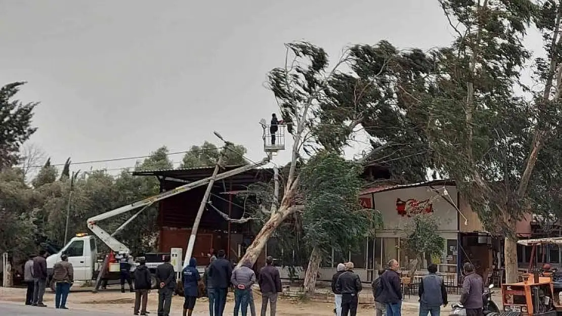 Fırtına İzmir'de ağaçları kökünden söktü, çatıları uçurdu