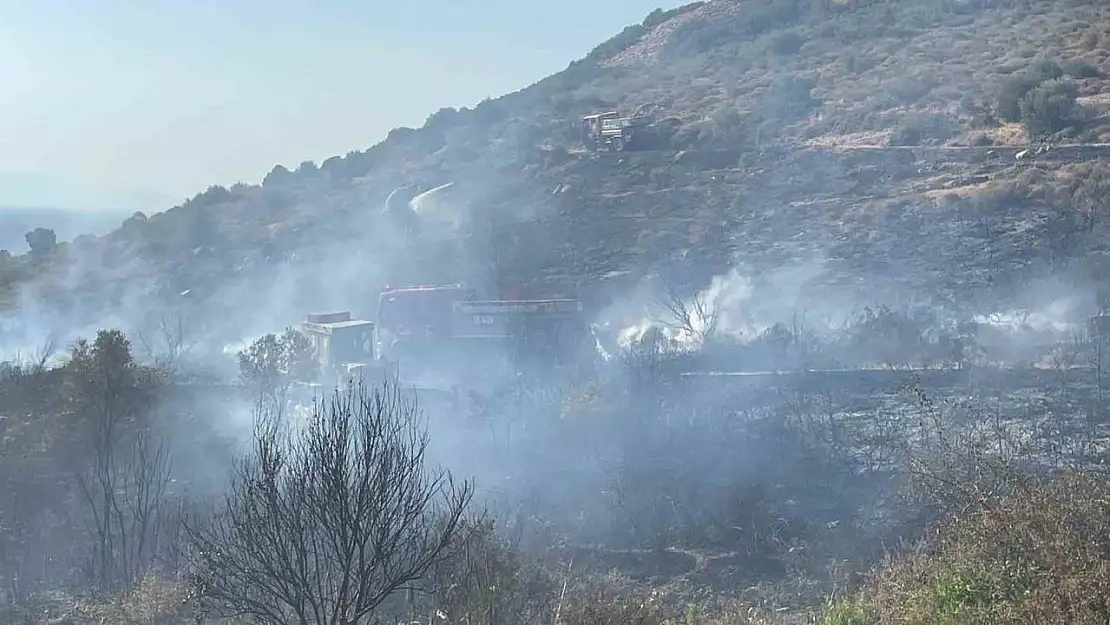 Foça'daki orman yangını alev alan araçtan çıkmış