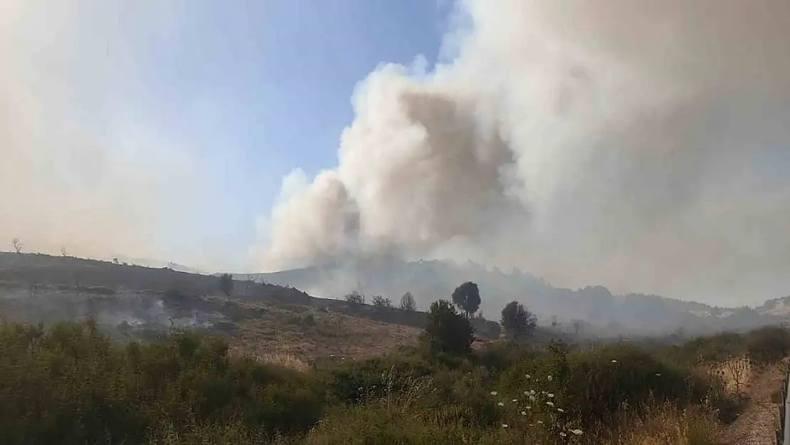 Foça'daki yangının arkasından iki sorumsuz çıktı: Yakalandılar