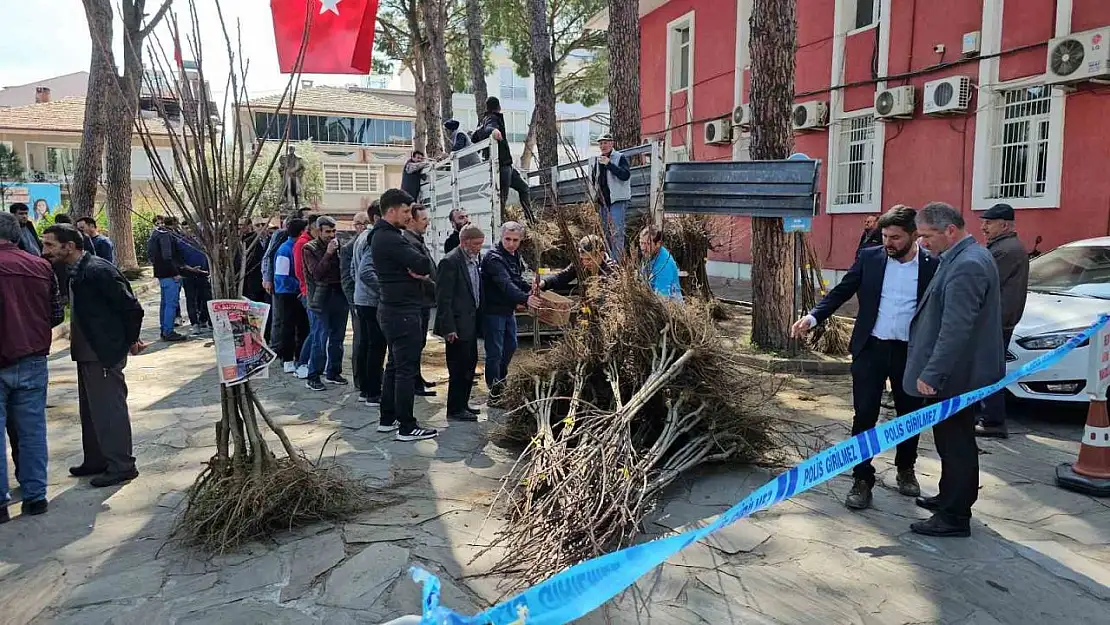 Gal arısı zararlısına karşı geliştirilen kestane fidanları üreticiye dağıtıldı