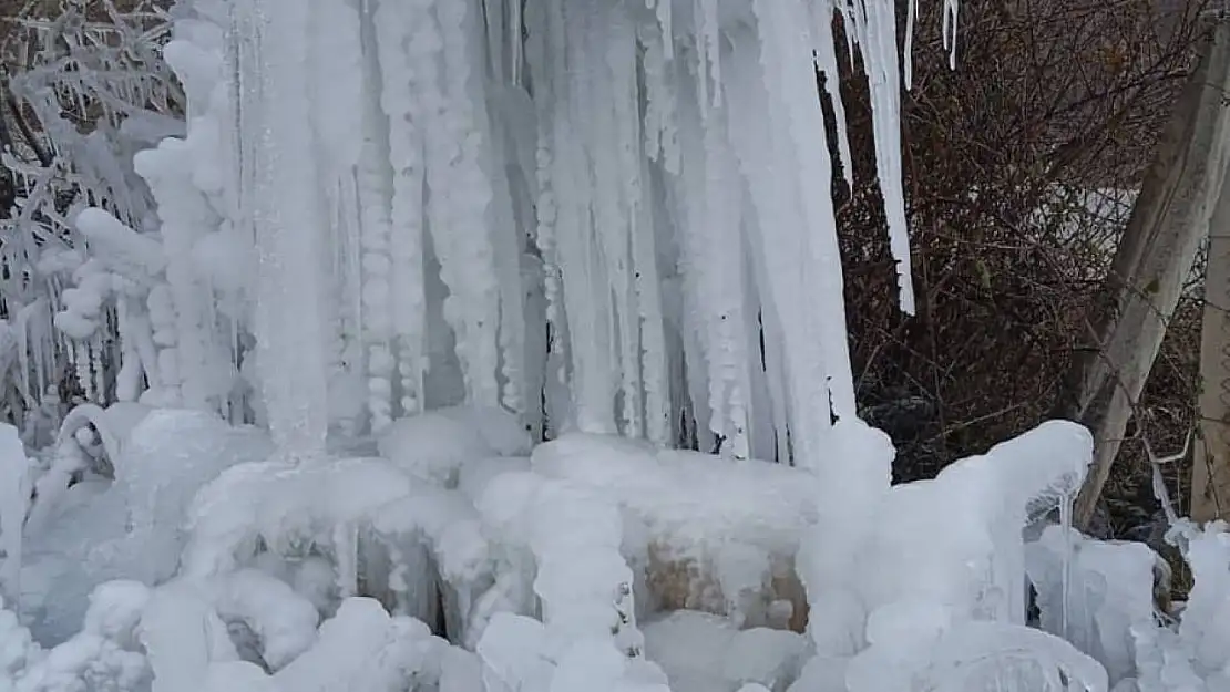 Gediz'de ağaçlarda buz sarkıtları oluştu
