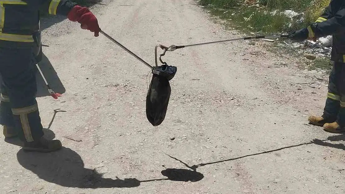 Gediz'de baharın gelmesiyle yılanlar görülmeye başladı