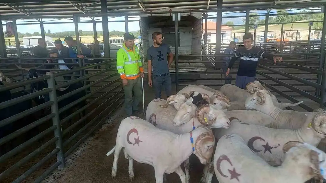 Gediz'de kurbanlık satışları başladı