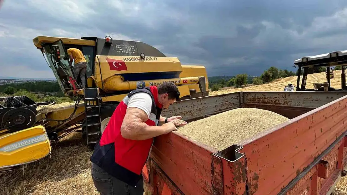 Gediz ve Emet ilçelerinde hasat dönemi denetimleri