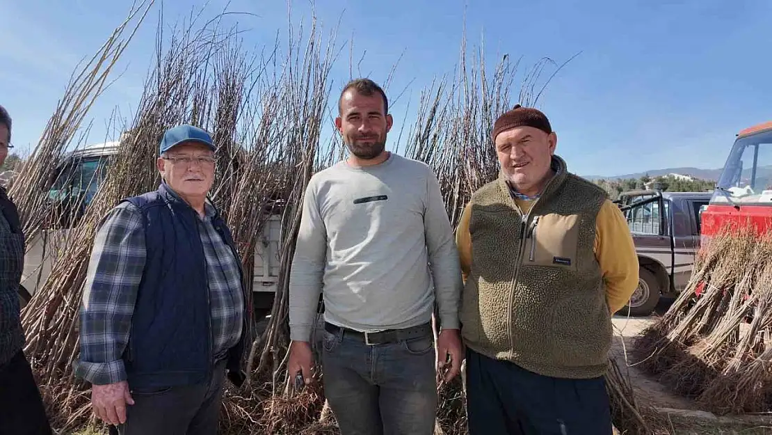 Gedizliler meyve fidanlarına yoğun ilgi gösteriyor