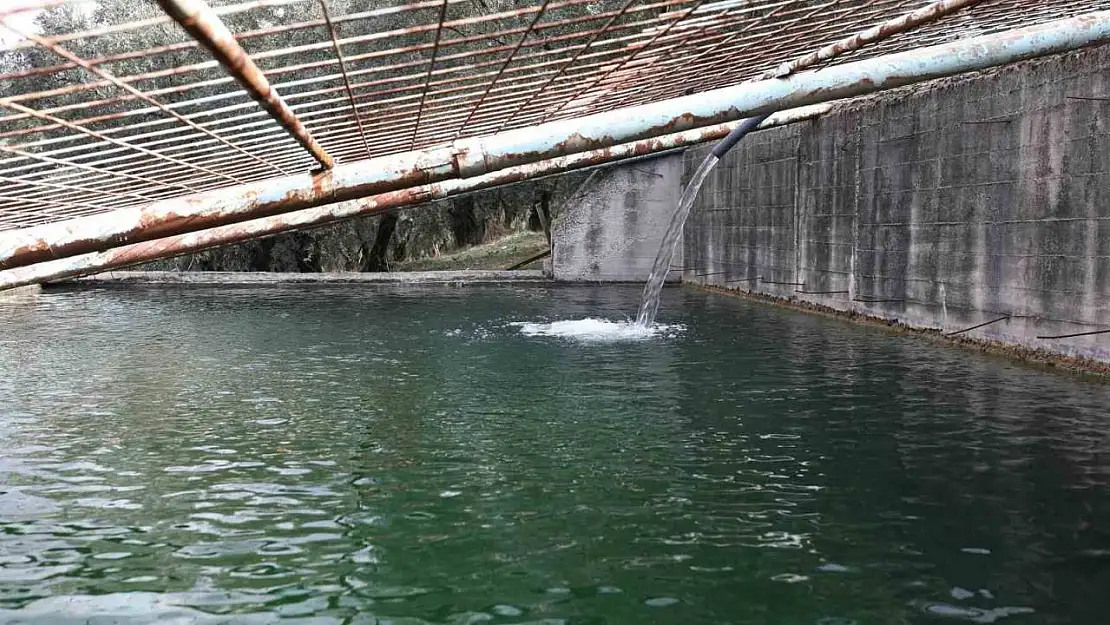 Gemlik Belediyesi, 10 bin ağaca su ulaştırdı