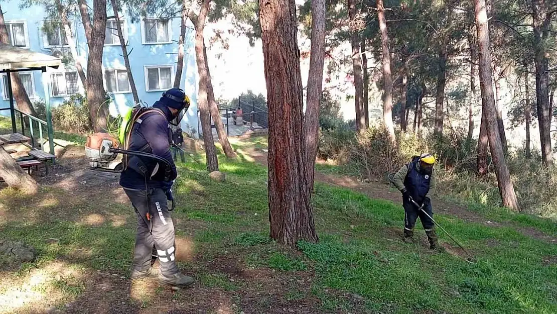 Gemlik'te Yeşil Seferberlik