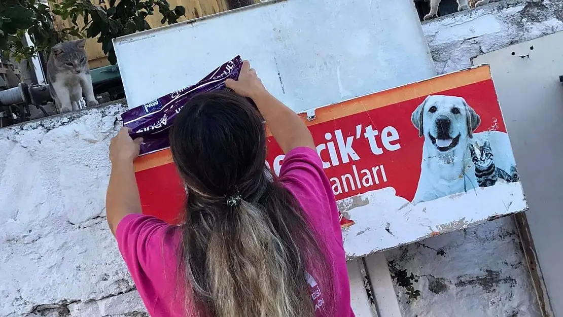 Germencik Belediyesi kavurucu sıcaklarda can dostlar için seferber oldu