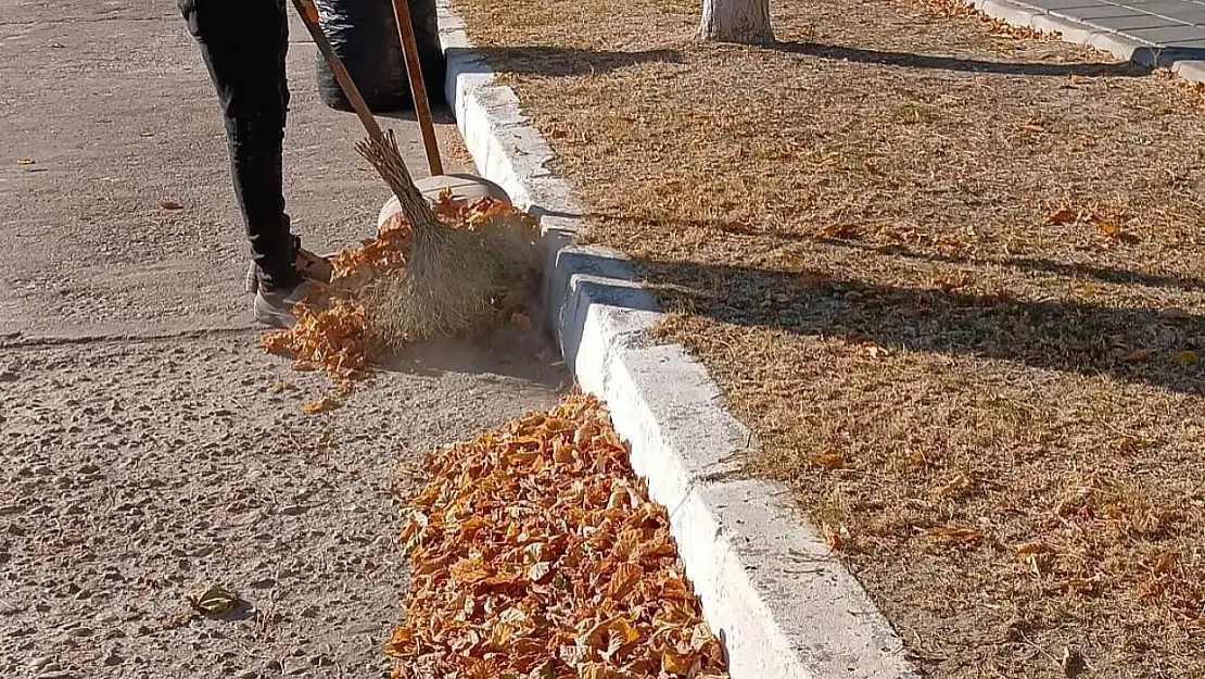 Germencik'te 'sonbahar' temizliği