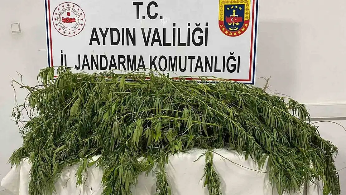 Germencik'te uyuşturucu operasyonu