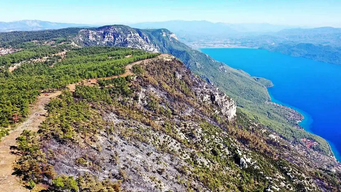 Gökova'da alevlerin önünü kesmek için 6,5 kilometre yangın şeridi açıldı