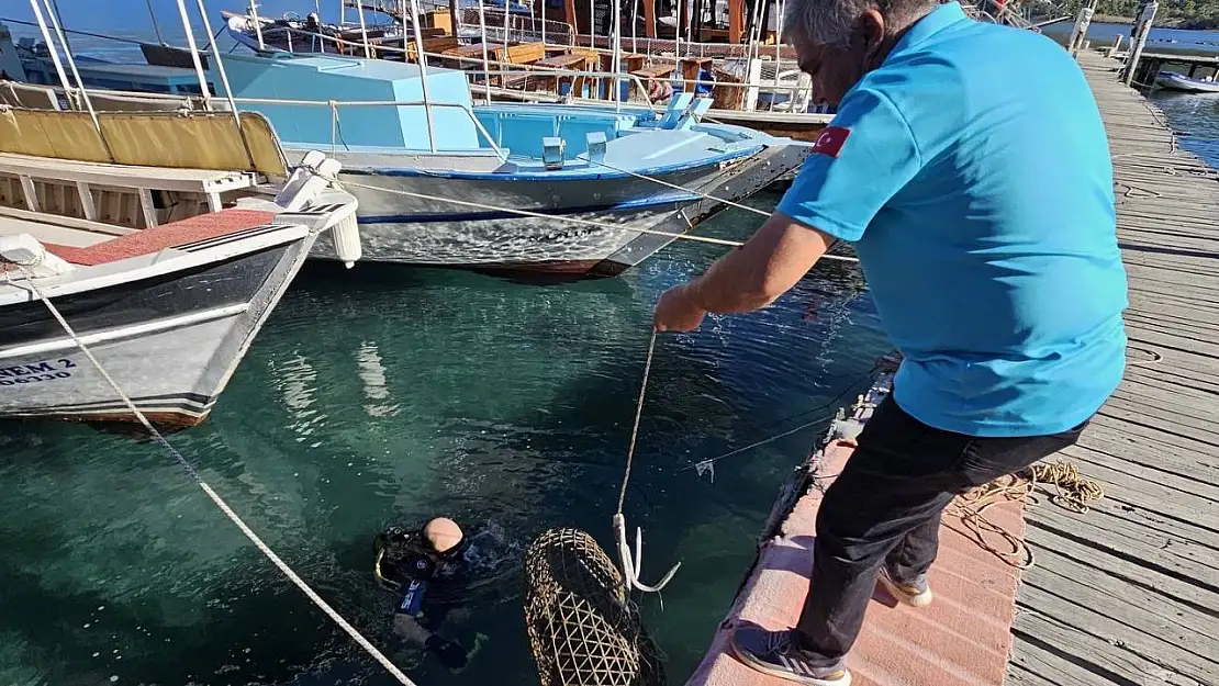 Gökova Körfezi'nde yasa dışı avcılığa geçit yok