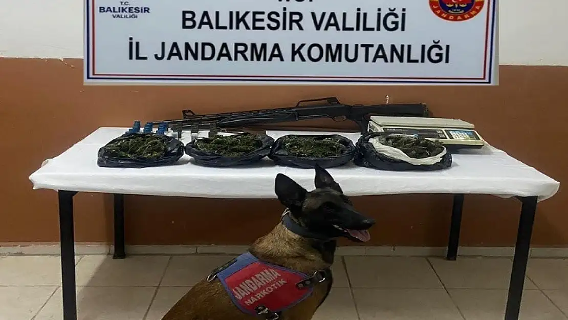 Gömeç'te 500 gram kubar esrar ele geçirildi