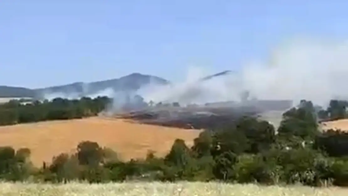 Gönen'de buğday tarlasında yangın çıktı