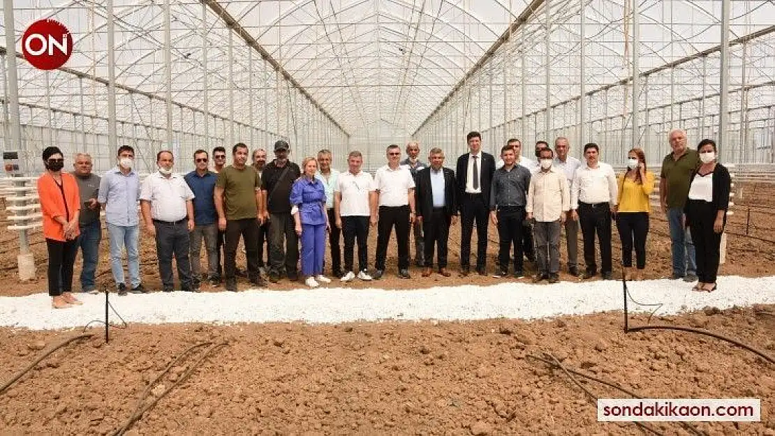 Gönen'de yetiştirilen muz dünyaya ihraç edilecek