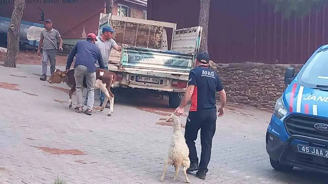 Gördes'te başlayan yangın Salihli'ye ulaştı