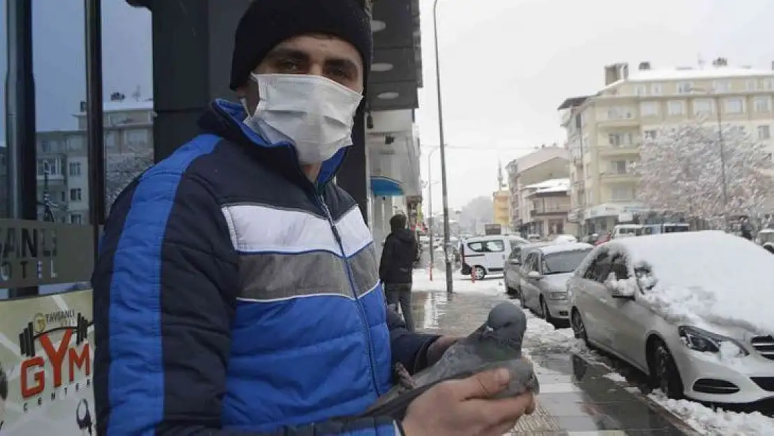 Güvercin soğuk havaya dayanamadı
