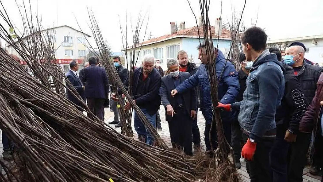Harmancık ayva ile markalaşacak