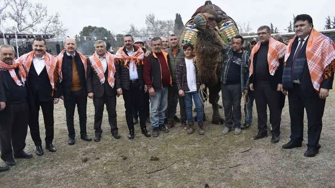 Havran'da 6. Geleneksel Folklorik Deve Gösterisi yapıldı