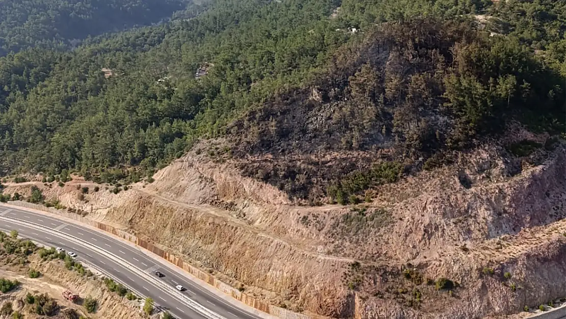 Havran'daki orman yangını kontrol altına alındı