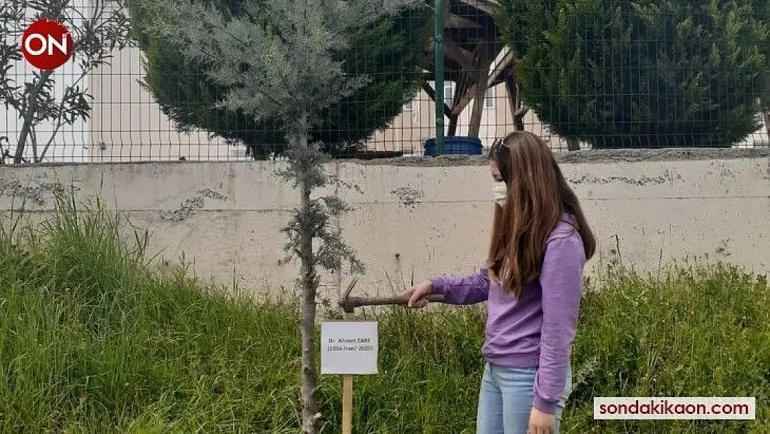 Hayatını kaybeden sağlık çalışanları için fidan diktiler