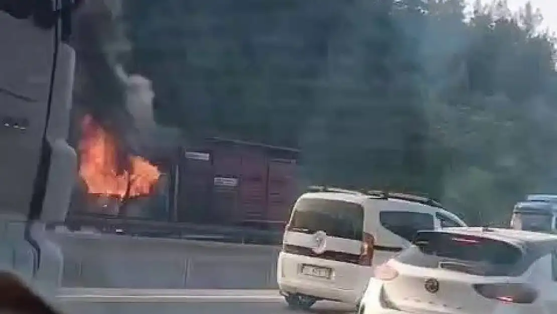 Hayvan yüklü kamyon alevlere teslim oldu