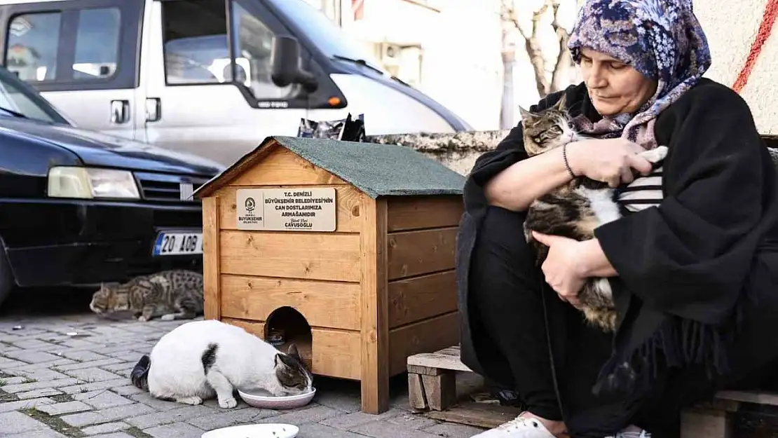 Hayvanseverler istedi, Başkan Çavuşoğlu sözünü tuttu