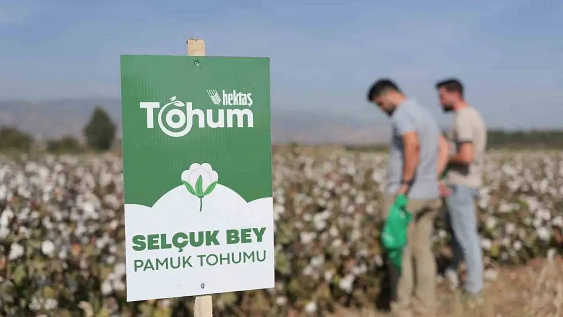 Hektaş'ın hedefi tohumda bağımsızlık