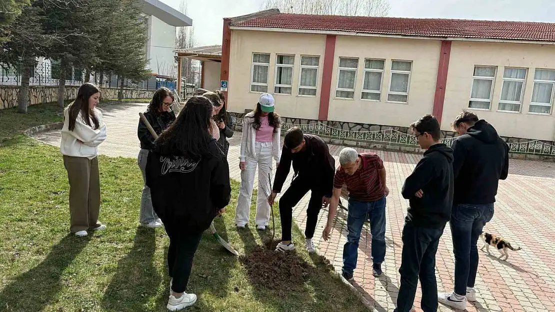 Hisarcık MYO'da ağaçlandırma etkinliği