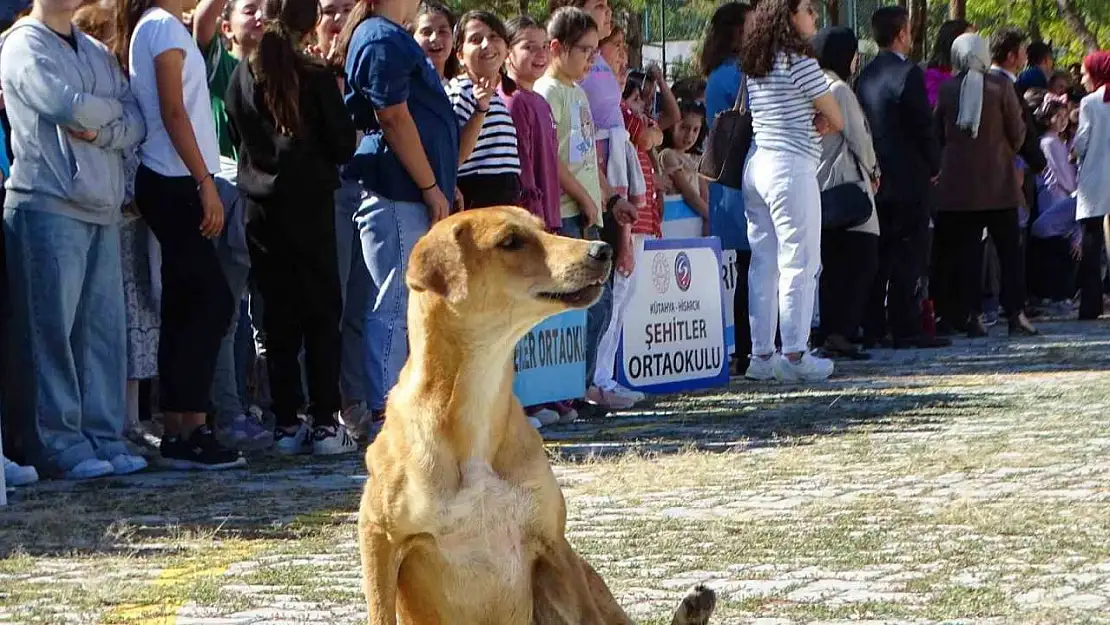 Hisarcık'ta İlköğretim Haftası kutlamalarında sevimli köpek ilgi odağı oldu