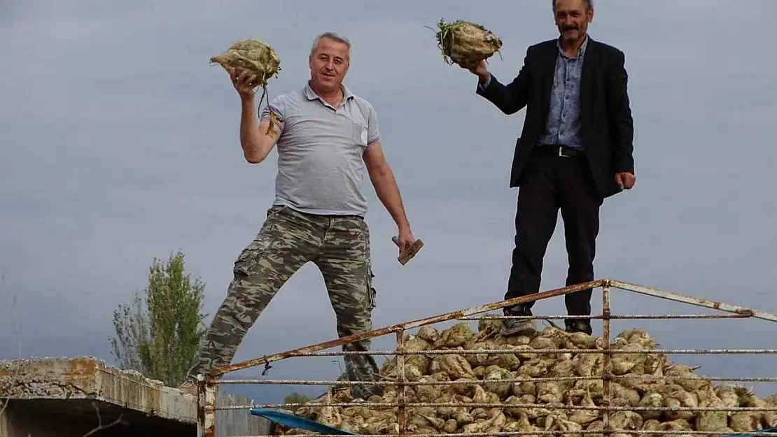 Hisarcık'ta şeker pancarı üretiminde artış