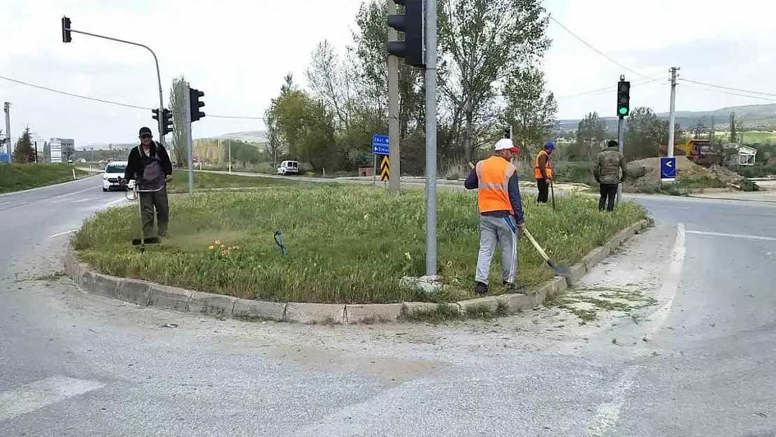 Hisarcık'ta yabani ot biçme çalışması