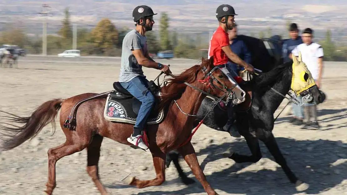 Honaz'da rahvan atlar, Cumhuriyet'in 101. yıl dönümü için koştu