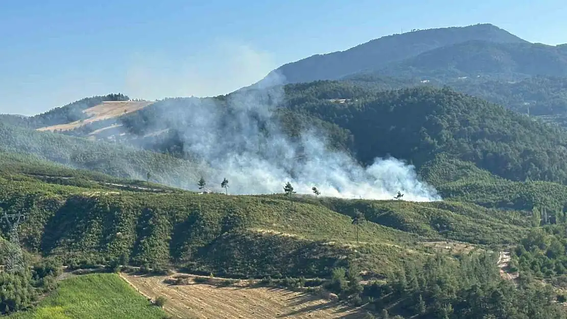 Honaz'daki orman yangını kontrol altına alındı