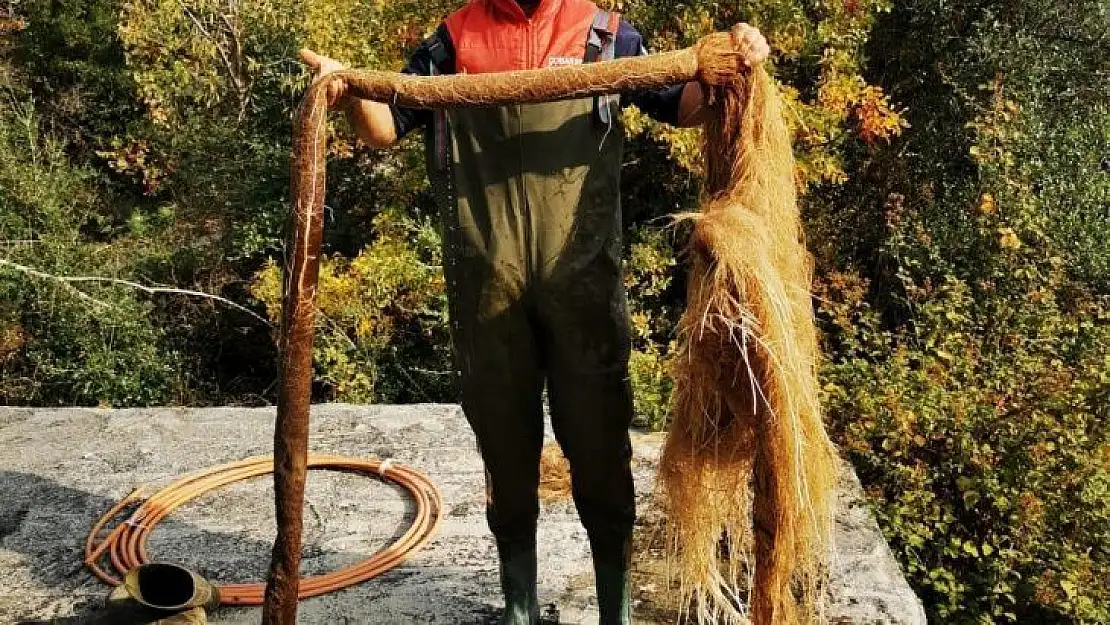 İçme suyu hattından 5 metrelik ağaç kökü çıktı